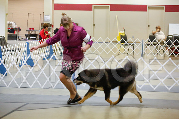 _JJ_9724-AmarilloSept2014-HR3
