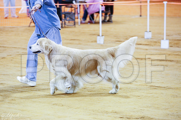 _RH_0229-MarshDec2014-HR