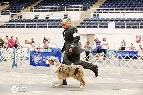 _JJ_1180-AblnMay2014-web