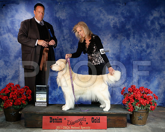 Vet10-6217-WFOct2013-HR