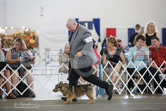 _JJ_3137-DallasJul2014-HR3