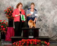 Pomeranian #7 Fri Best Puppy in Show Wilhoite Michelle Agent Alfonso Escobedo Judge ?