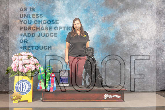 Labrador Retriever #54 THUR Obedience Judge Nancy Watson_MJ_3929_Houston_2022_HR3