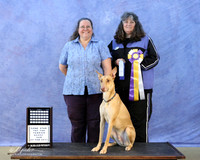 Xoloitzcuintli Sun High in Trial New Title Margaret Worth  Judge K Shivers