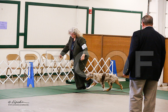 BISpup-0098-NormNov13-HR