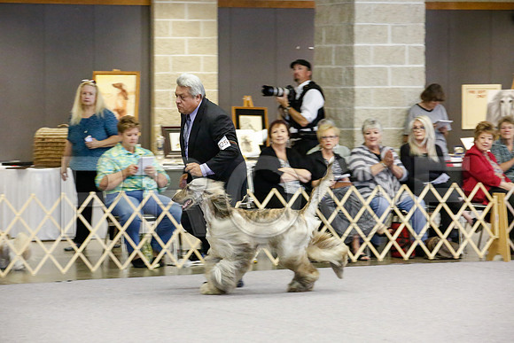 _JJ_0793-AfgBeltonOct2014-HR3