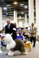 PetTalk Houston July 2014