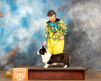 Cardigan Welsh Corgi #147 Sat2 BOB Judge Kevin Izard-Carroll