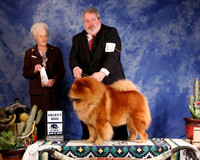 Chow Chow #17 Sun SD Elledge jawuelin & K Greene & Jonathan Judge P  Hartinger