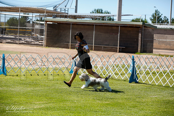 _JN_6884-AlamogordoOct2014-HR3