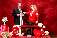 Dachshund Smooth Sat S1 RBIS Cyndy Senff Judge John Booth