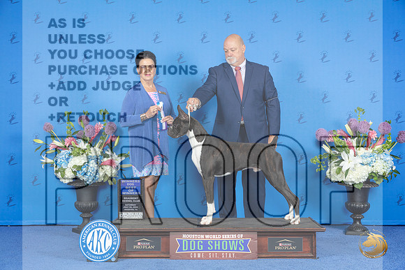 Boxer #27 SAT WD BOW Judge Debbie Freeman__JP_9732_Houston_2024_HR3
