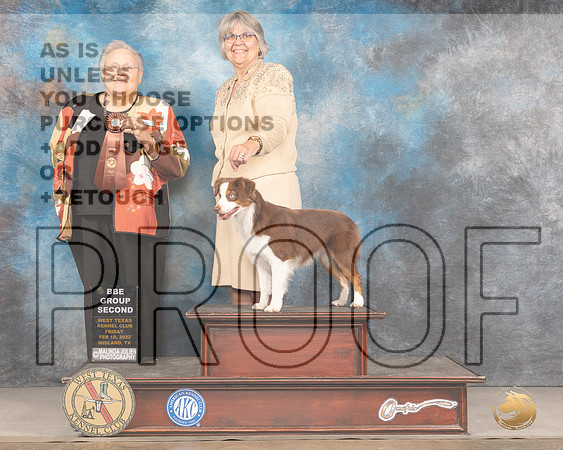Miniature American Shepherd #8 Fri BBEG2 Judge Denny MounceMMJ_3499_Mdlnd2022_HR3