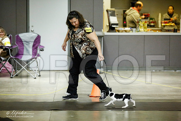_JJ_5987-BeltonJan2015IABCA-HR3