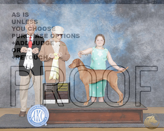 Vizsla #6 Sun OHG4 Judge Phillip BriascoVizsla #6 Sun OHG4 Judge Phillip Briasco_WP_0264e-_Sulphur Springs 2025-HR3