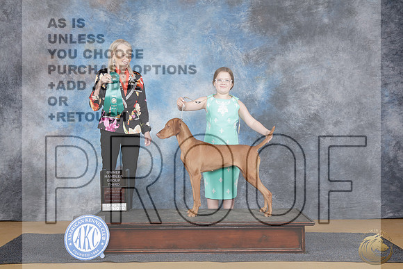 Vizsla #6 Sat OHG3 Judge Donna ErnstVizsla #6 Sat OHG3 Judge Donna Ernst_WP_0042e-_Sulphur Springs 2025-HR3