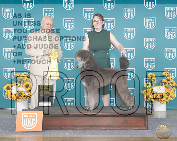 Poodle Standard MC #223 Sun BOB Judge Donald BrightPoodle Standard MC #223 Sun BOB Judge Donald Bright_WP_4203e-_UKC Midwest Classic 2026-HR3