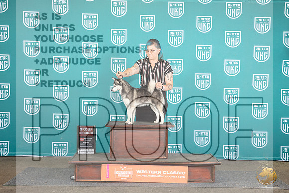 Alaskan Klee Kia #552 Sun G2 Judge Sharon Griffin__JP_2023_Longview WA_2024_HR3
