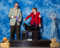 Dachshunds Longhaired #5 Fri WD NC Missildine Miranda Judge Mr James G Reynolds