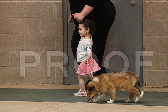 JuniorCCL_1284LR