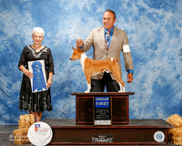 Basenji #5 Thurs G1 Behles A Whalen S Allen Judge Eva E Berg