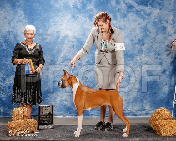 _ST_9503-2-AmarilloSept2015-HR3
