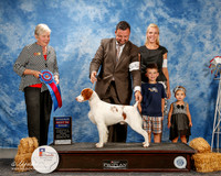 Brittany #5 Thurs RBIS Douglas Jim and Alisa Andras and C and K Hogan and A Cone Agent Clint Livingston Judge Terry Carter
