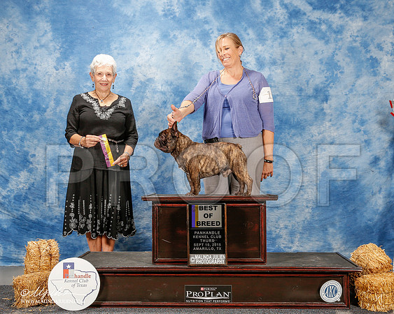 _ST_9432-2-AmarilloSept2015-HR3