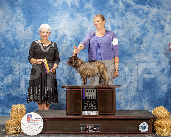_ST_9432-AmarilloSept2015-HR3