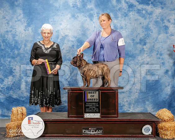 _ST_9433-2-AmarilloSept2015-HR3