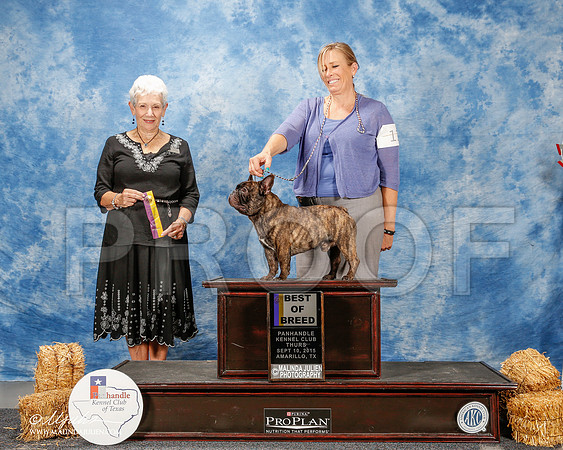 _ST_9434-2-AmarilloSept2015-HR3