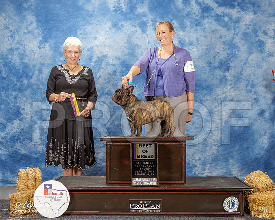 _ST_9434-AmarilloSept2015-HR3