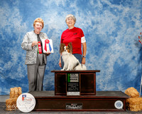 Papillon #O47 Thurs NT Edwards Regina Judge Judith A Brown