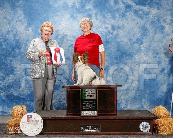 _ST_9455-2-AmarilloSept2015-HR3