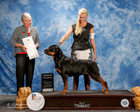 Rottweiler #8 Thurs #8 Opperman Patricai R and K M Howse and A K Callahan Agent Clint Livingston Judge Kathy Bucher Sawyer
