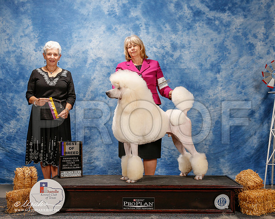 _ST_9445-2-AmarilloSept2015-HR3
