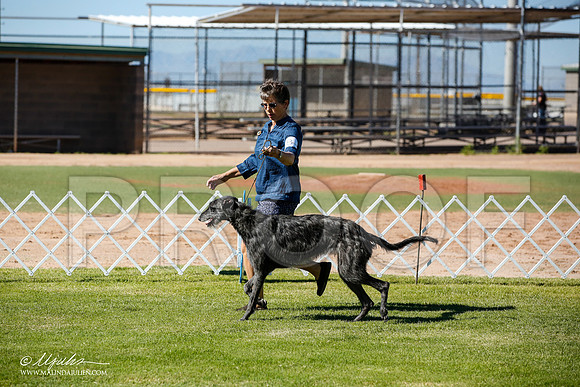 _JN_5917-AlamogordoOct2014-HR3