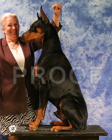 dobe-8186-MidFeb14-HR