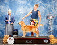 Golden Retriever #18 Fri BOW Nieman Mia & Lindsay Nieman Judge Eva E Berg