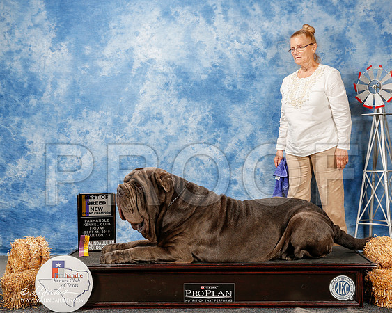 _ST_9576-2-AmarilloSept2015-HR3