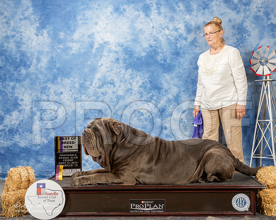 _ST_9576-AmarilloSept2015-HR3