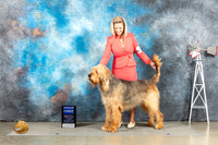 Otterhound #5 Sat G1 Judge Eric Liebes