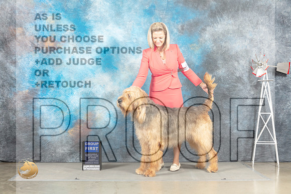 Otterhound #5 Sat G1 Judge Eric Liebes_MJ_4580_Amarillo_2022_HR3