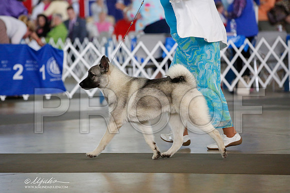 _JJ_5143-DallasJul2014-HR3