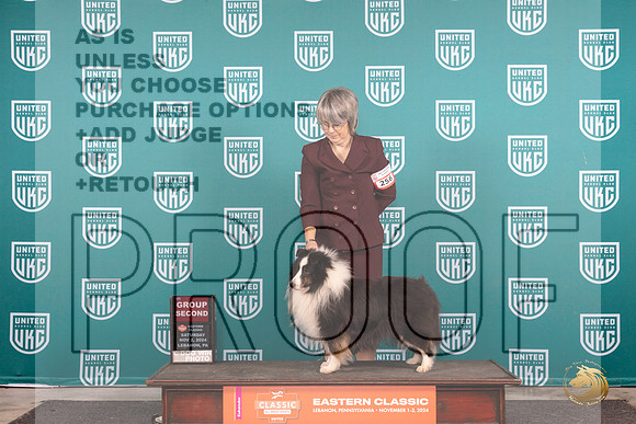 Shetland Sheepdog #256 Sat G2 Judge Larry Hansen__JP_2018_UKCEastern_2024_HR3