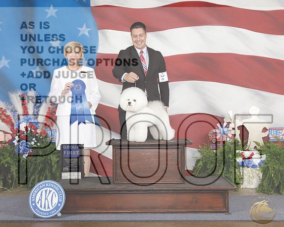 Bichon Frises #9 G1 Judge Charlotte PattersonBichon Frises #9 G1 Judge Charlotte Patterson_WP_1053e-_Tulsa 2026-HR3