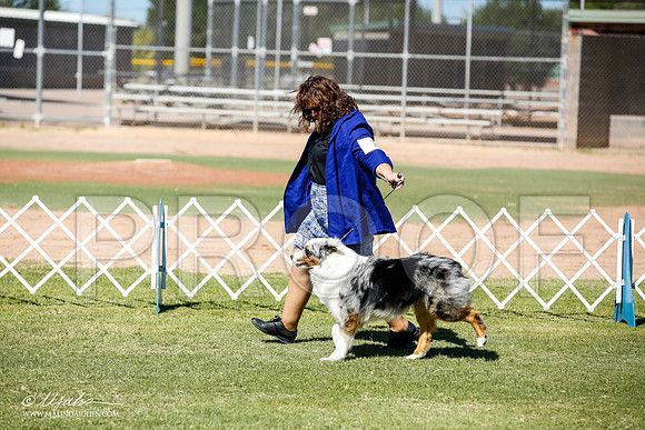 _JN_8617-AlamogordoOct2014-HR3