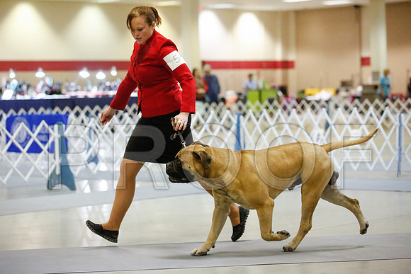 _JJ_8105-AmarilloSept2014-HR3