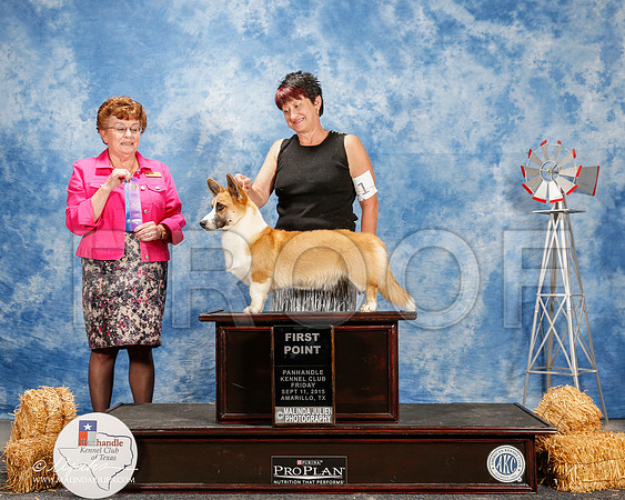 _ST_9609-2-AmarilloSept2015-HR3