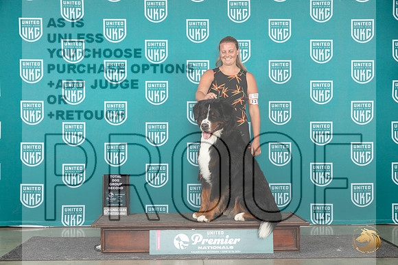 Bernese Mountain Dog #1173 Sat TDG2 Judge Carianna Glenn__JP_2714_Premier_2024_HR3